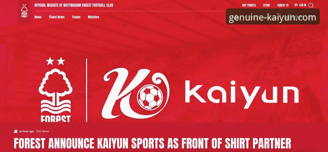 开云体育优质服务哪个好 开云体育平台优质服务选择与使用完全指南